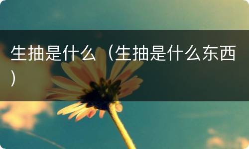 生抽是什么（生抽是什么东西）