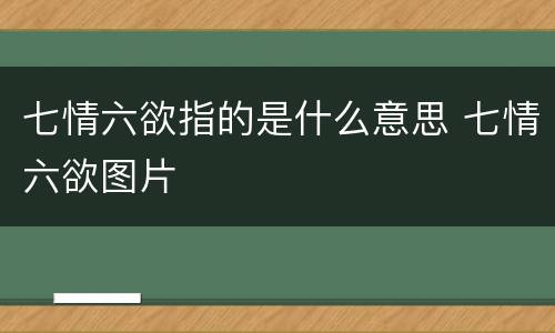 七情六欲指的是什么意思 七情六欲图片