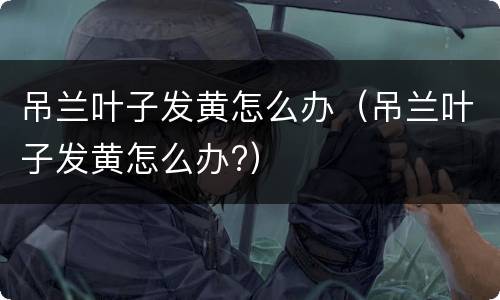 吊兰叶子发黄怎么办（吊兰叶子发黄怎么办?）