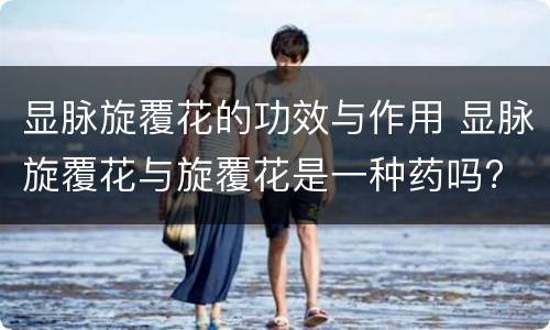 显脉旋覆花的功效与作用 显脉旋覆花与旋覆花是一种药吗?