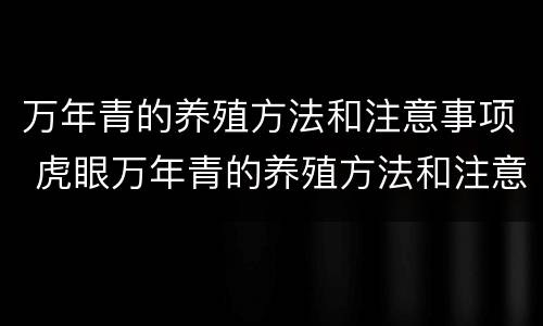 万年青的养殖方法和注意事项 虎眼万年青的养殖方法和注意事项