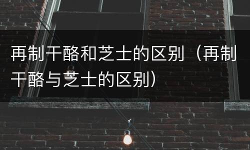 再制干酪和芝士的区别（再制干酪与芝士的区别）