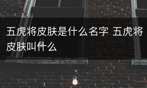 五虎将皮肤是什么名字 五虎将皮肤叫什么