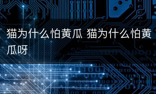 猫为什么怕黄瓜 猫为什么怕黄瓜呀