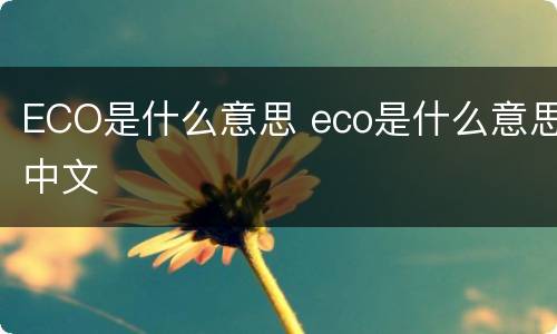 ECO是什么意思 eco是什么意思中文
