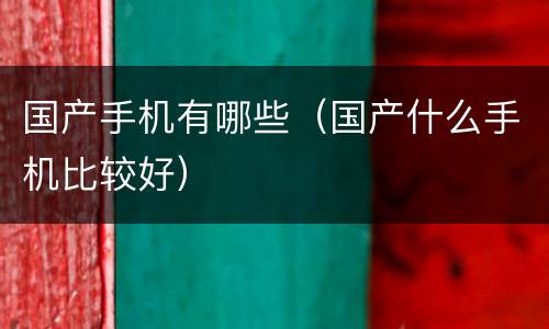 国产手机有哪些（国产什么手机比较好）