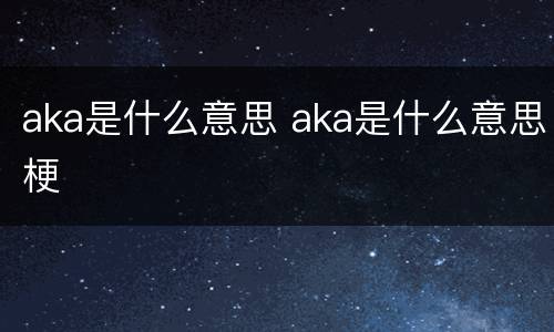 aka是什么意思 aka是什么意思梗