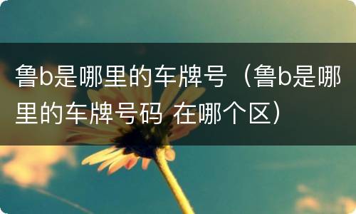 鲁b是哪里的车牌号（鲁b是哪里的车牌号码 在哪个区）