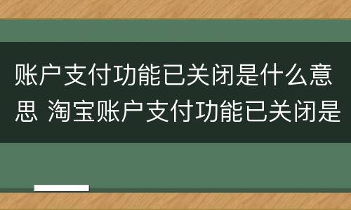 账户支付功能已关闭是什么意思 淘宝账户支付功能已关闭是什么意思