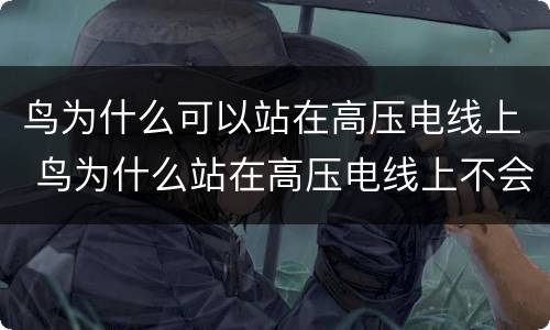 鸟为什么可以站在高压电线上 鸟为什么站在高压电线上不会被电死