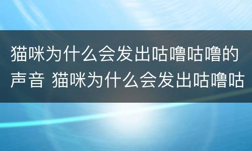 猫咪为什么会发出咕噜咕噜的声音 猫咪为什么会发出咕噜咕噜的声音踩奶