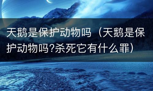 天鹅是保护动物吗（天鹅是保护动物吗?杀死它有什么罪）