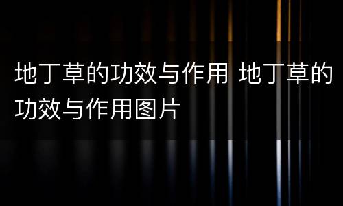 地丁草的功效与作用 地丁草的功效与作用图片