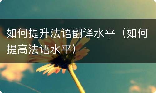 如何提升法语翻译水平（如何提高法语水平）