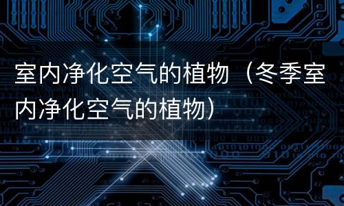 室内净化空气的植物（冬季室内净化空气的植物）