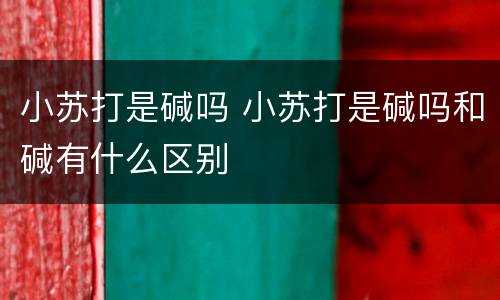 小苏打是碱吗 小苏打是碱吗和碱有什么区别