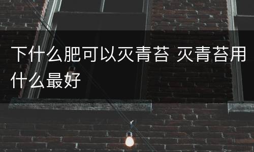 下什么肥可以灭青苔 灭青苔用什么最好