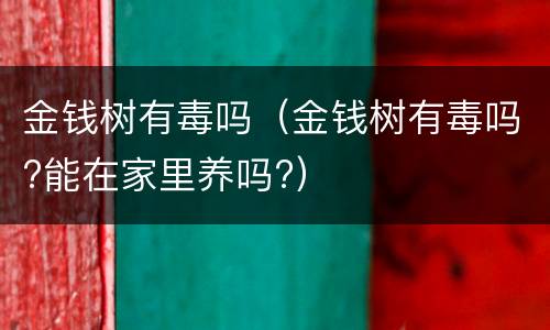 金钱树有毒吗（金钱树有毒吗?能在家里养吗?）
