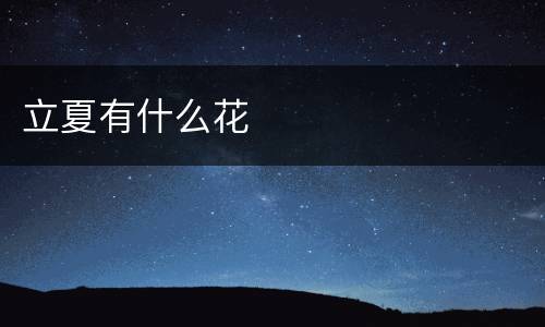 立夏有什么花
