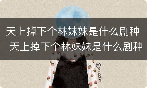 天上掉下个林妹妹是什么剧种 天上掉下个林妹妹是什么剧种的剧目名字