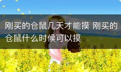 刚买的仓鼠几天才能摸 刚买的仓鼠什么时候可以摸