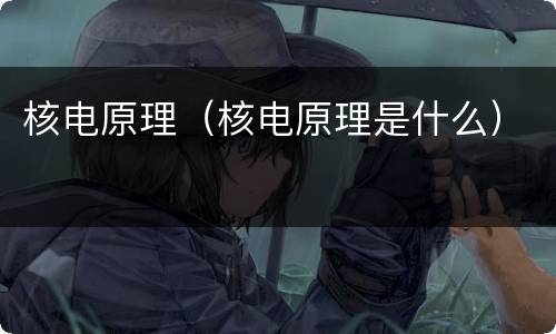 核电原理（核电原理是什么）