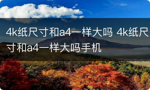 4k纸尺寸和a4一样大吗 4k纸尺寸和a4一样大吗手机