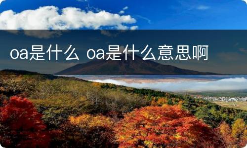 oa是什么 oa是什么意思啊