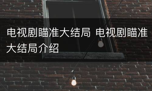 电视剧瞄准大结局 电视剧瞄准大结局介绍