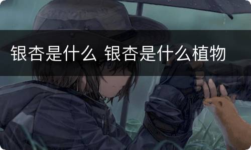 银杏是什么 银杏是什么植物