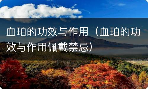 血珀的功效与作用（血珀的功效与作用佩戴禁忌）