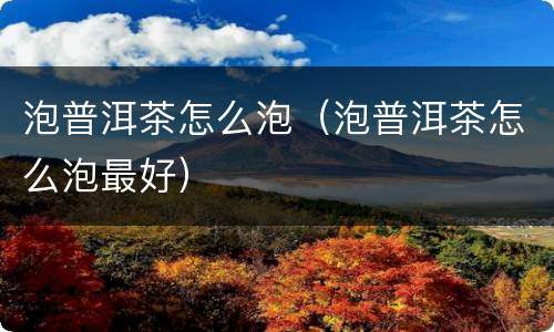 泡普洱茶怎么泡（泡普洱茶怎么泡最好）