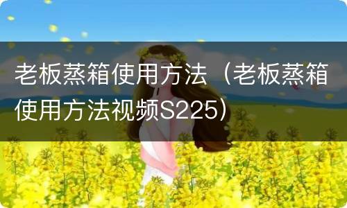 老板蒸箱使用方法（老板蒸箱使用方法视频S225）