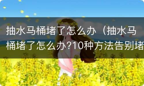 抽水马桶堵了怎么办（抽水马桶堵了怎么办?10种方法告别堵塞）