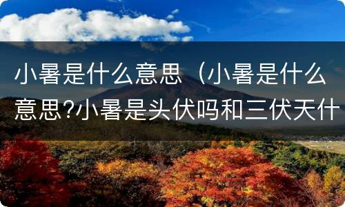 小暑是什么意思（小暑是什么意思?小暑是头伏吗和三伏天什么关系）