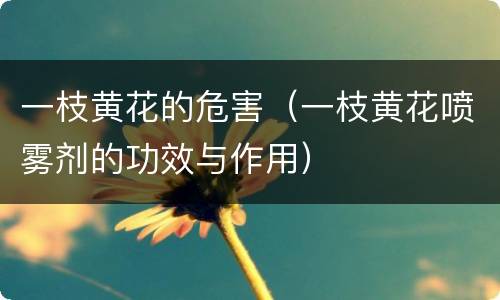一枝黄花的危害（一枝黄花喷雾剂的功效与作用）