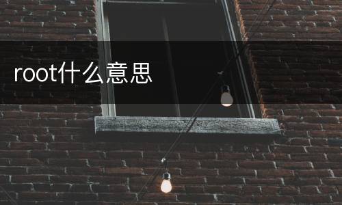 root什么意思