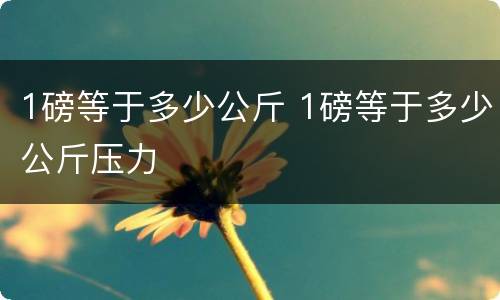 1磅等于多少公斤 1磅等于多少公斤压力