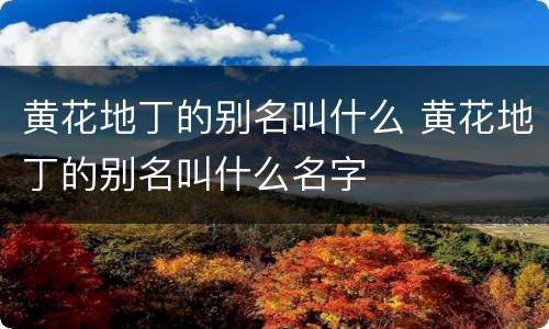 黄花地丁的别名叫什么 黄花地丁的别名叫什么名字