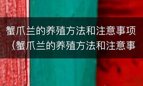 蟹爪兰的养殖方法和注意事项（蟹爪兰的养殖方法和注意事项:忌太阳直射）