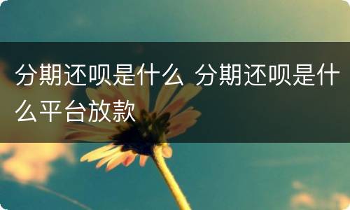 分期还呗是什么 分期还呗是什么平台放款