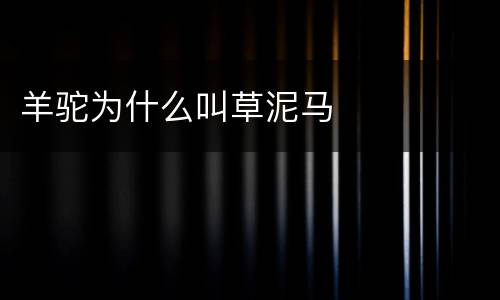 羊驼为什么叫草泥马
