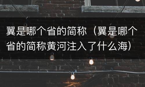 翼是哪个省的简称（翼是哪个省的简称黄河注入了什么海）