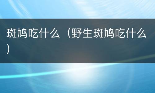 斑鸠吃什么（野生斑鸠吃什么）