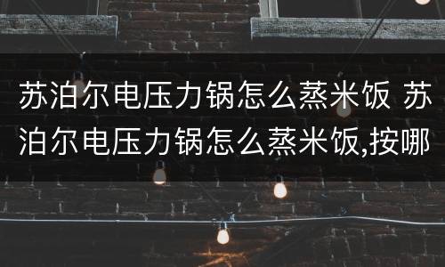 苏泊尔电压力锅怎么蒸米饭 苏泊尔电压力锅怎么蒸米饭,按哪个键