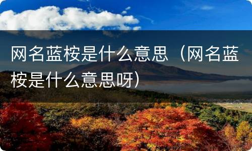 网名蓝桉是什么意思（网名蓝桉是什么意思呀）
