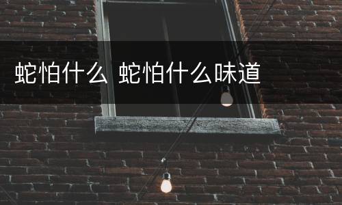 蛇怕什么 蛇怕什么味道