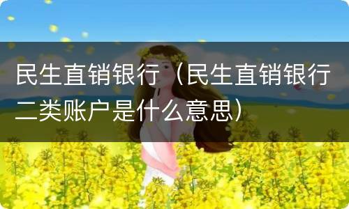 民生直销银行（民生直销银行二类账户是什么意思）