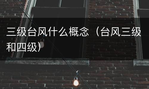 三级台风什么概念（台风三级和四级）