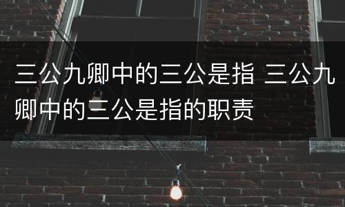 三公九卿中的三公是指 三公九卿中的三公是指的职责